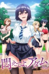 Nonton Film Modaete yo, Adam-kun (2024) Terbaru Nonton Film Modaete yo, Adam-kun (2024) Terbaru